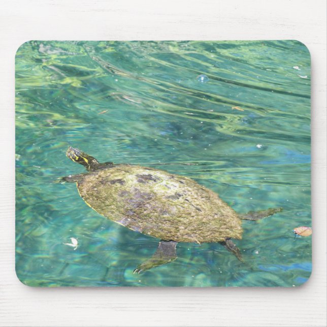 Tapis De Souris grande tortue fluviale nager (Devant)