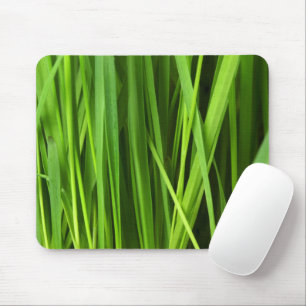 Tapis De Souris Grass vert, Arrière - plan d'herbe, Feuille, Feuil