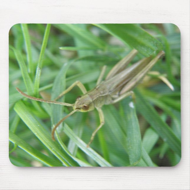 Tapis De Souris Grasshopper Mousepad (Devant)
