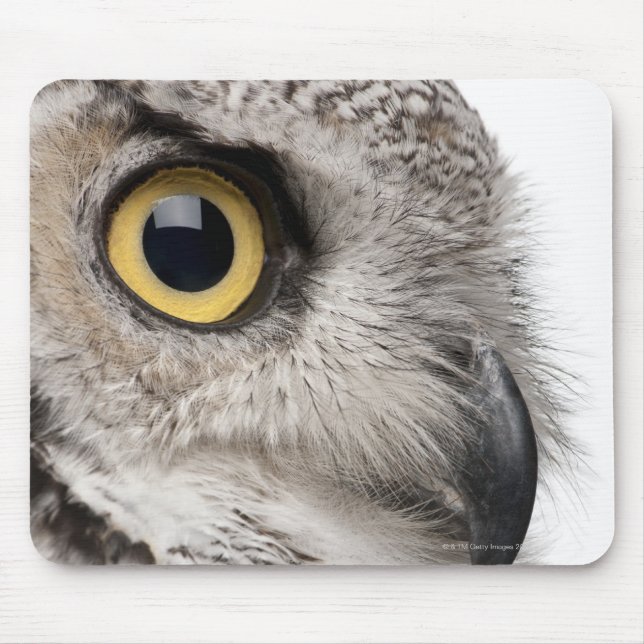 Tapis De Souris Great Horned Owl (Devant)