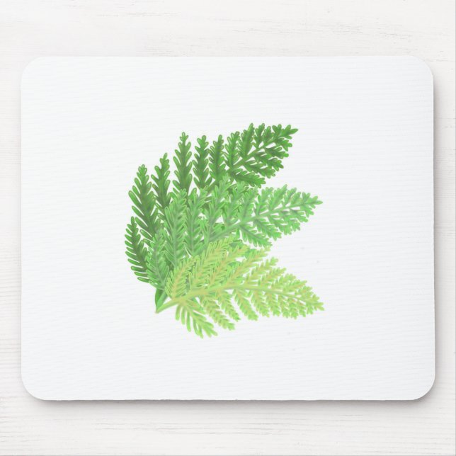 Tapis De Souris Green Fern Trio (Devant)