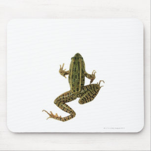 Tapis De Souris Grenouille 2