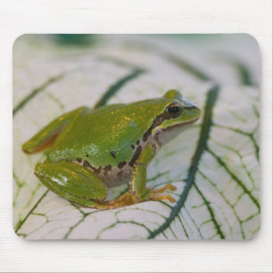 Tapis De Souris Grenouille arboricole du Pacifique sur des fleurs