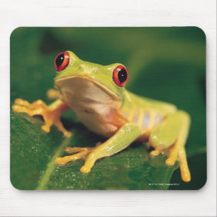 Tapis De Souris Grenouille d'arbre rouge d'oeil
