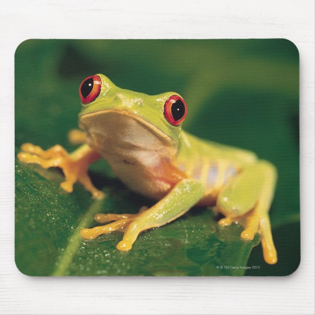 Tapis De Souris Grenouille des yeux rouges (Devant)