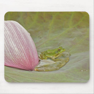 Tapis De Souris Grenouille et pétale de fleurs de lotus, Chine,