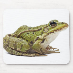 Tapis De Souris Grenouille européenne commune ou grenouille