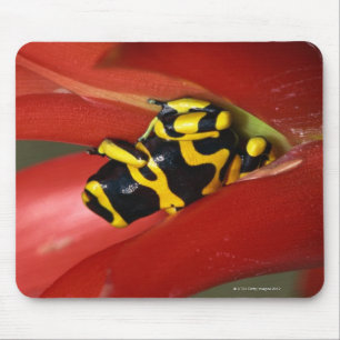 Tapis De Souris grenouille Jaune-réunie de poison
