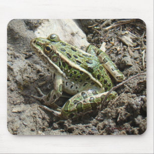 Tapis De Souris Grenouille léopard R3
