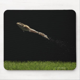 Tapis De Souris grenouille sautant de l'herbe verte fraîche