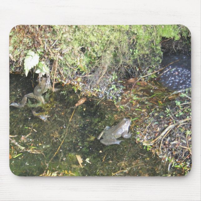 Tapis De Souris Grenouilles et frai de grenouille dans un tapis de (Devant)
