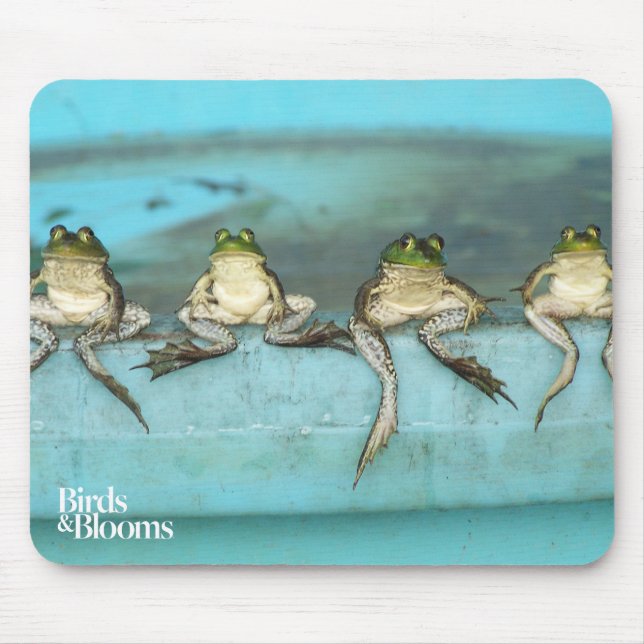 Tapis De Souris Grenouilles se reposantes (Devant)