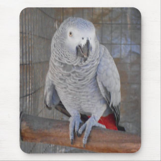 Tapis De Souris Gris africain "Rudy "