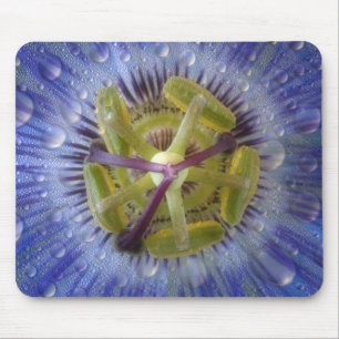 Tapis De Souris Gros plan de fleur de la passion couverte de rosée