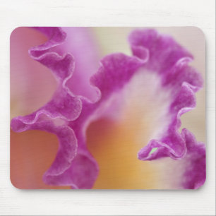 Tapis De Souris Gros plan d'orchidées hybrides, Delray Beach, Flo