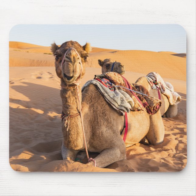Tapis De Souris Gros plan sur Camel dans le désert d'Oman (Devant)