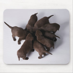 Tapis De Souris Groupe de chiots avec des têtes ensemble