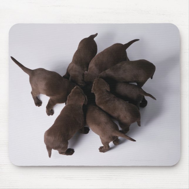 Tapis De Souris Groupe de chiots avec têtes ensemble (Devant)