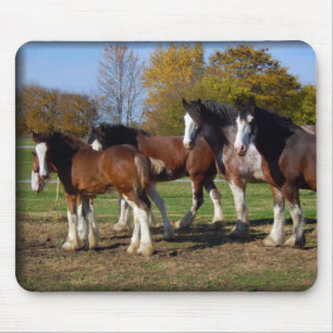 Tapis De Souris groupe de clydesdale