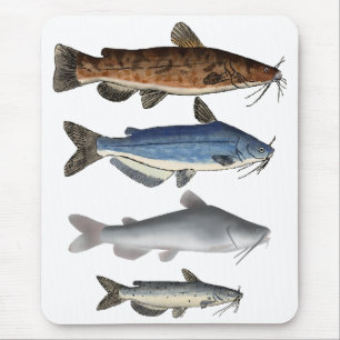 Tapis De Souris Groupe de poissons de l'Amérique du Nord