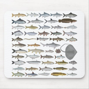 Tapis De Souris Groupe de poissons d'eau douce d'Asie du Sud