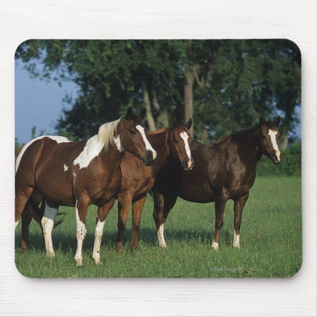 Tapis De Souris Groupe de position de chevaux de peinture (Devant)