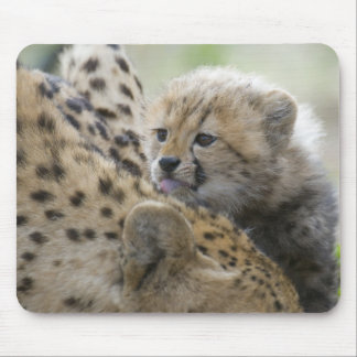 Tapis De Souris Guépard CUB avec la maman
