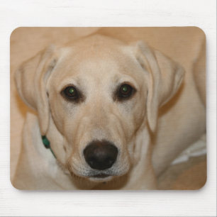 Tapis De Souris GUS de bébé