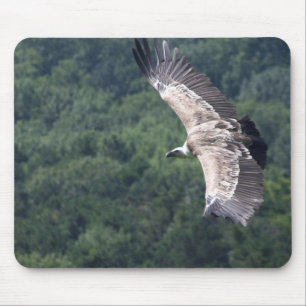 Tapis De Souris Gyps fulvus vol