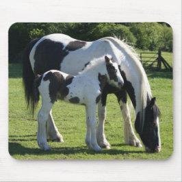Tapis De Souris Gypsy Vanner Horse Mare et Foie
