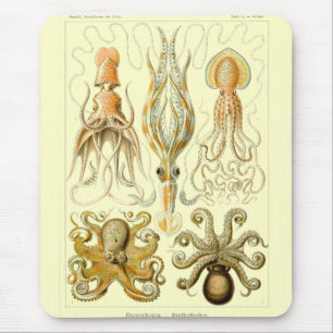 Tapis De Souris Haeckel