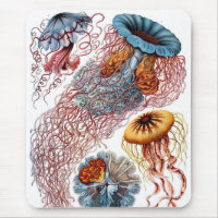 Haeckel