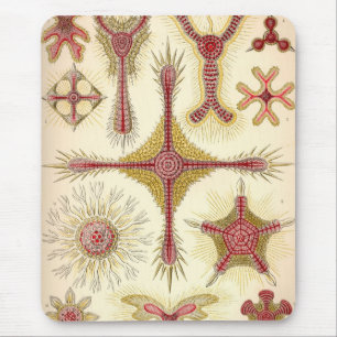 Tapis De Souris Haeckel vintage