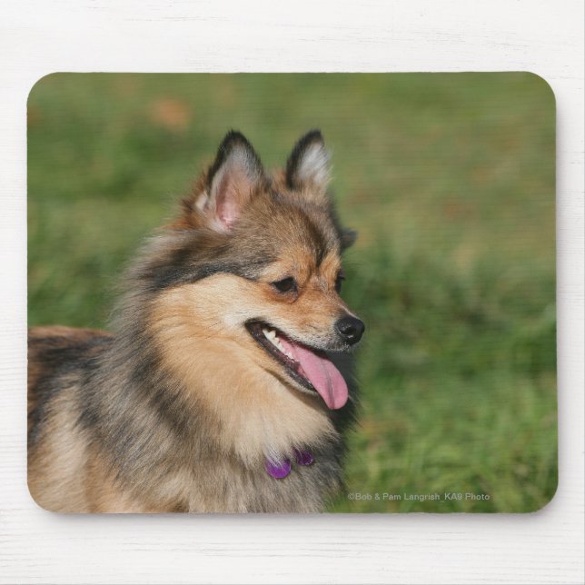 Tapis De Souris Halètement de Headshot de Pomeranian (Devant)