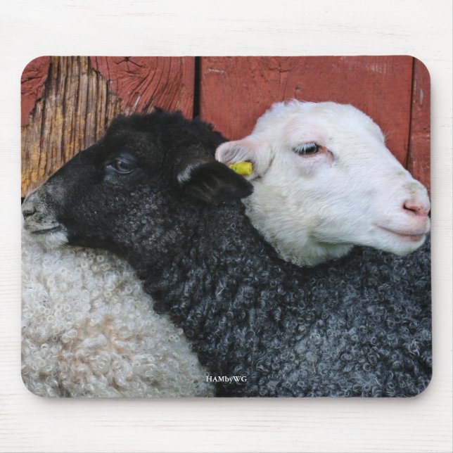 Tapis De Souris HAMbyWG - Papier à souris blanc mouton noir (Devant)