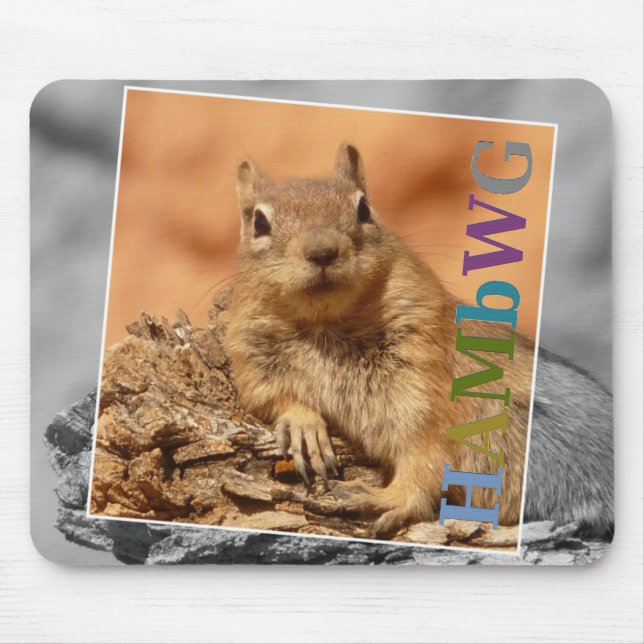 Tapis De Souris HAMbyWG - Plaque de souris - Écureuil célèbre (Devant)