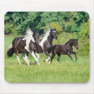 Tapis De Souris Harde de Chevaux Pinto Barock avec mignonne Foal G