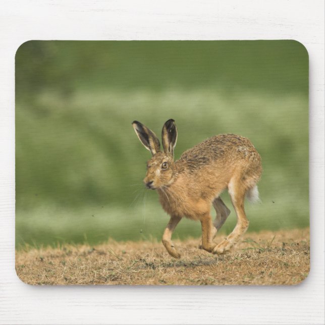 Tapis De Souris Hare Mousepad (Devant)