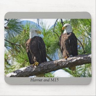 Tapis De Souris Harriet et amour M15