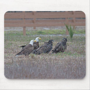 Tapis De Souris Harriet M15 E10 et E11