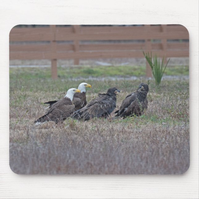 Tapis De Souris Harriet M15 E10 et E11 (Devant)