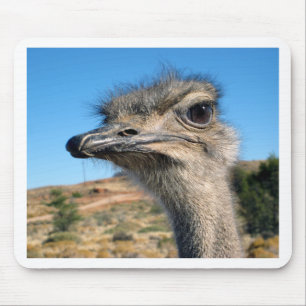Tapis De Souris Harry the Happy Ostrich