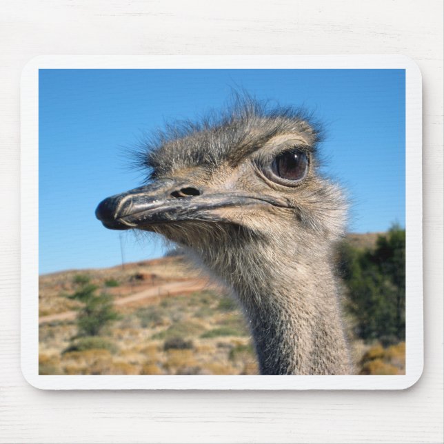 Tapis De Souris Harry the Happy Ostrich (Devant)