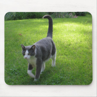 Tapis De Souris Harrypad 1