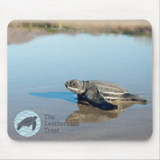 Tapis De Souris Hatchling Mousepad