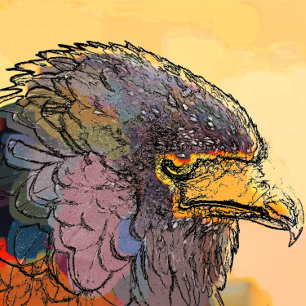 TAPIS DE SOURIS HAWK