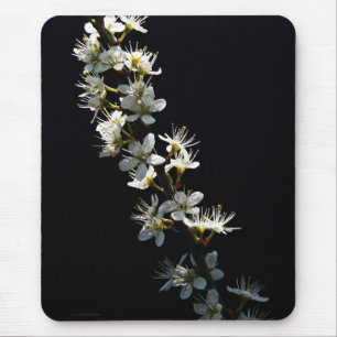 Tapis De Souris Hawthorn Flowers mpcn