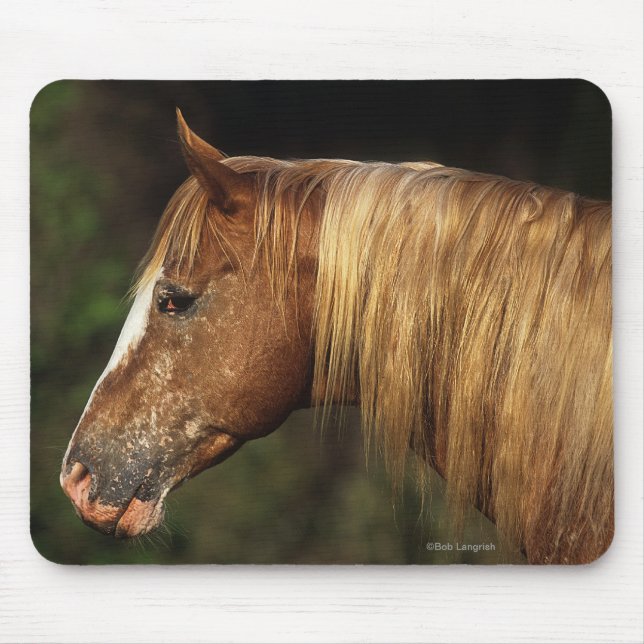 Tapis De Souris Headshot 1 de cheval d'Appaloosa (Devant)