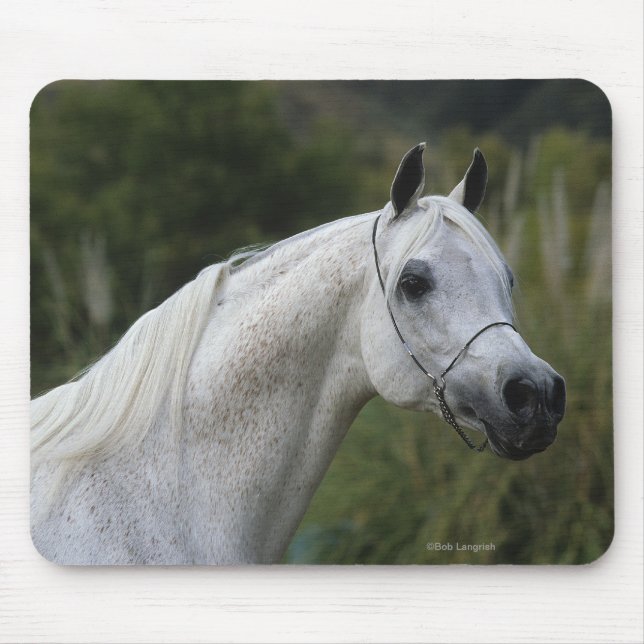 Tapis De Souris Headshot arabe 1 de cheval (Devant)