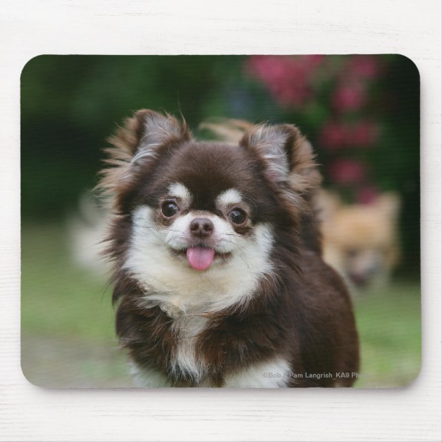 Tapis De Souris Headshot aux cheveux longs 1 de chiwawa (Devant)
